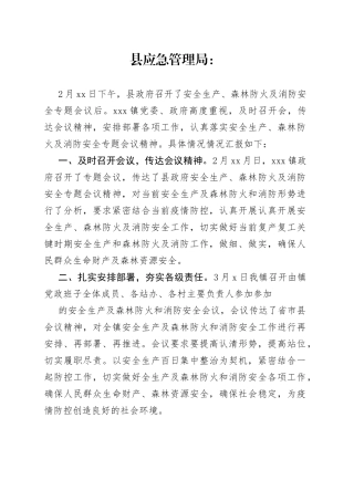 乡镇落实县安全生产及森林防火消防安全专项会议精神的情况汇报