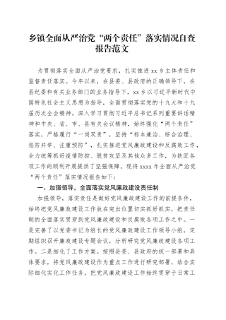 乡镇全面从严治党两个责任落实情况自查报告