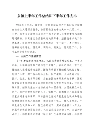 乡镇上半年工作总结和下半年工作安排