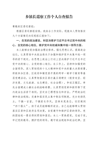 乡镇长巡察工作个人自查报告