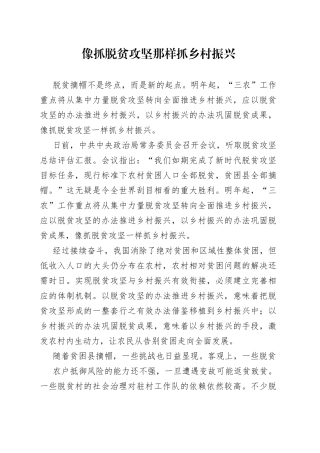 像抓脱贫攻坚那样抓乡村振兴