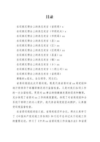 巡察反馈会表态发言合集（10篇）