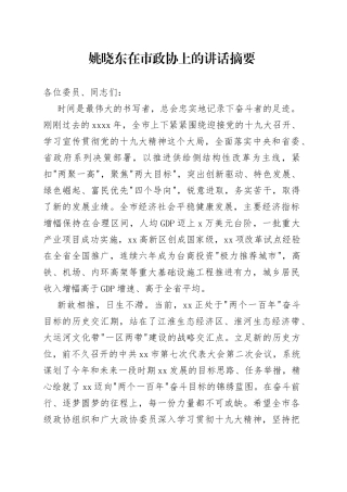 姚晓东在市政协上的讲话摘要