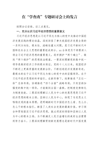 在“学查改”专题研讨会上的发言（经济思想）
