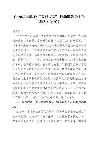 在2022年深化“乡村振兴”行动推进会上的讲话
