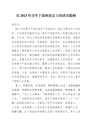 在2023年青年干部座谈会上的讲话提纲(1)