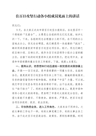 在百日攻坚行动各小组成员见面上的讲话