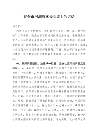 在全市河湖湾林长会议上的讲话