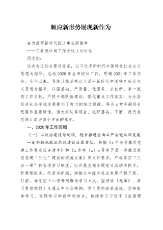 在县统计局工作会议上的讲话