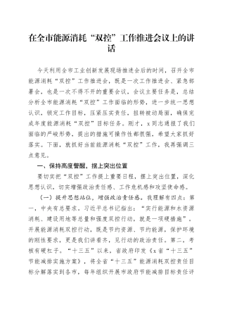 在全市能源消耗双控工作推进会议上的讲话