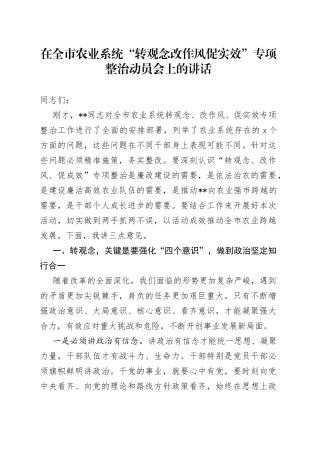 在全市农业系统“转观念改作风促实效”专项整治动员会上的讲话