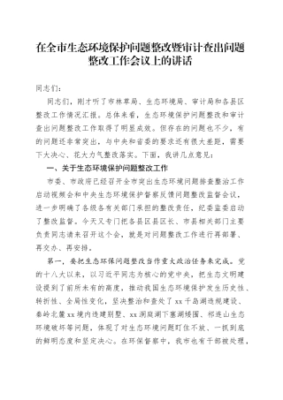 在全市生态环境保护问题整改暨审计查出问题整改工作会议上的讲话