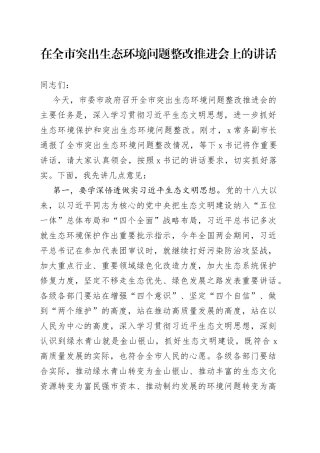 在全市突出生态环境问题整改推进会上的讲话