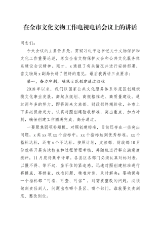 在全市文化文物工作电视电话会议上的讲话