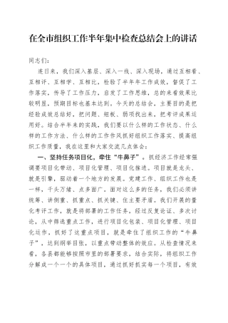 在全市组织工作半年集中检查总结会上的讲话