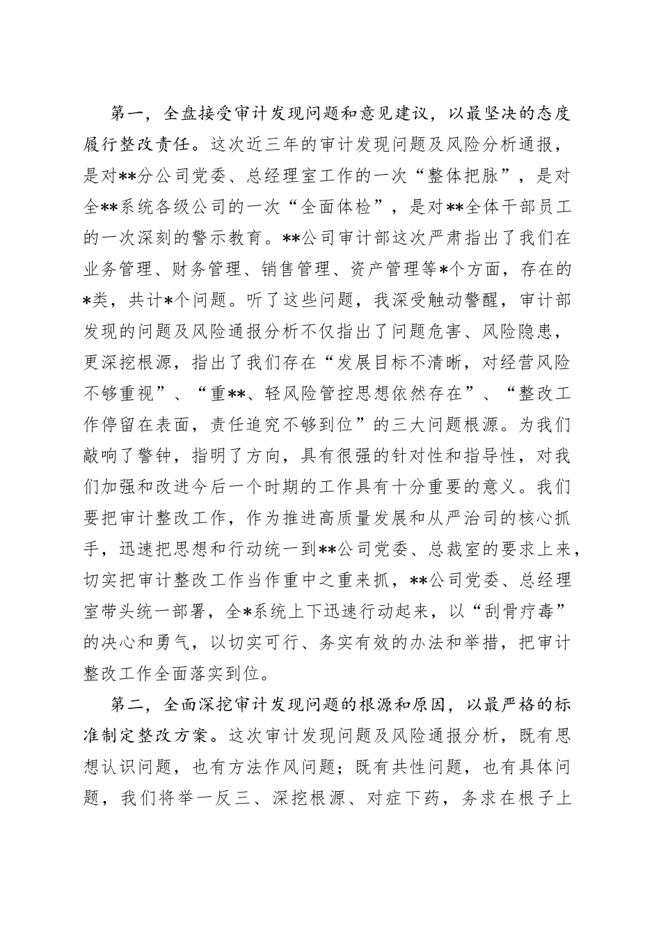 在审计谈话会议上的表态发言_第2页