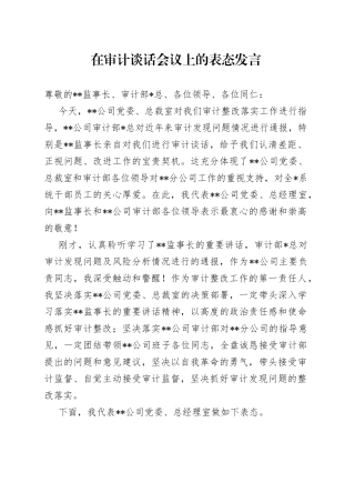 在审计谈话会议上的表态发言