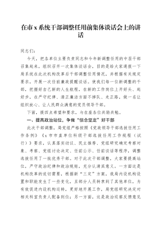 在市X系统干部调整任用前集体谈话会上的讲话
