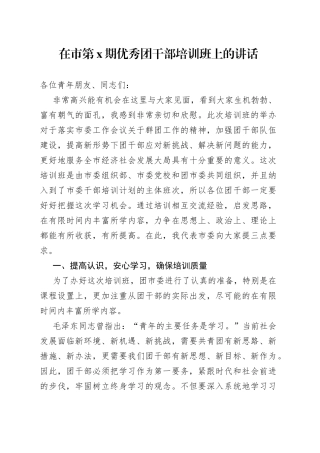 在市第X期优秀团干部培训班上的讲话(1)