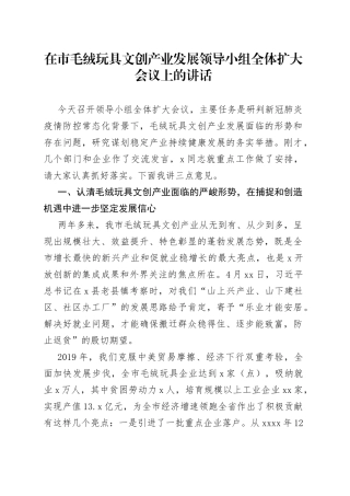 在市毛绒玩具文创产业发展领导小组全体扩大会议上的讲话