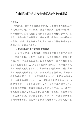 在市民族团结进步行动总结会上的讲话