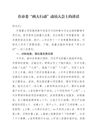 在市委两大行动动员大会上的讲话