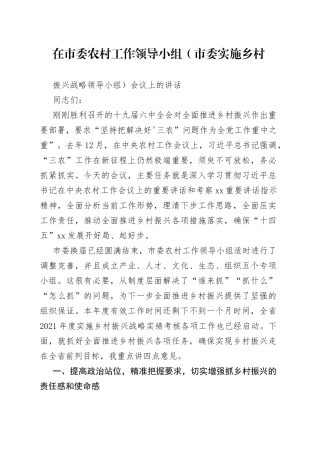 在市委农村工作领导小组（市委实施乡村战略领导小组）会议上的讲话