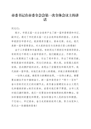 在市委全会会第一次全体会议上的讲话