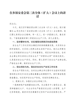 在乡镇安委会第三次全体（扩大）会议上的讲话