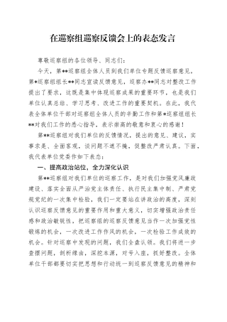 在巡察组巡察反馈会上的表态发言