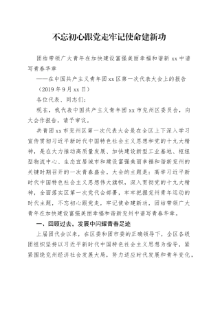 中国共产主义青年团区第一次代表大会上的报告