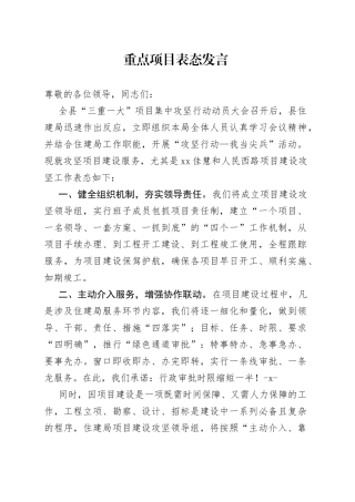 重点项目表态发言
