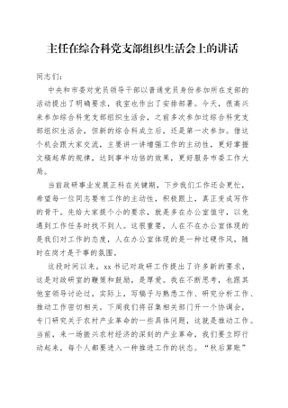 主任在综合科党支部组织生活会上的讲话 （2）