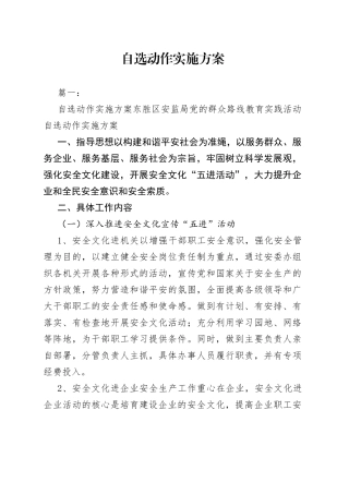 自选动作实施方案范文