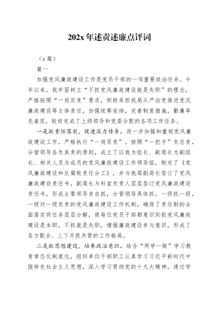 （3篇）202X年述责述廉点评词