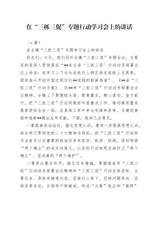 （3篇）在“三抓三促”专题行动学习会上的讲话