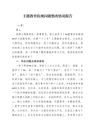 （3篇）主题教育检视问题整改情况报告