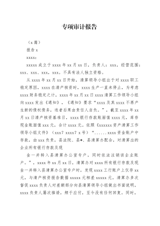 （3篇）专项审计报告
