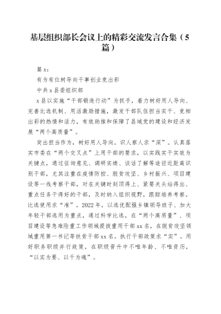 （5篇）基层组织部长会议上的精彩交流发言合集(1)