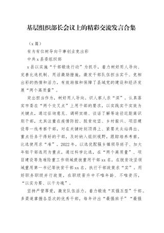 （5篇）基层组织部长会议上的精彩交流发言合集