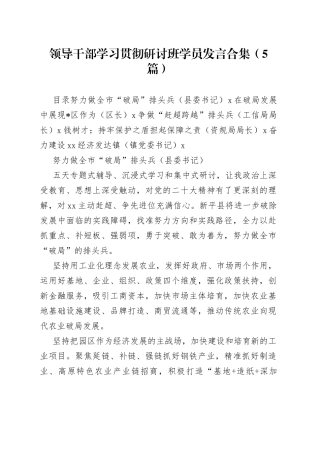 （5篇）领导干部学习贯彻研讨班学员发言合集