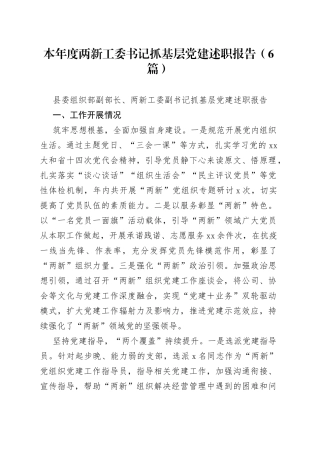 （6篇）本年度两新工委书记抓基层党建述职报告合集