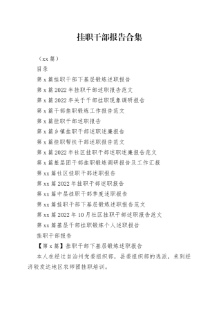 （15篇）挂职干部报告合集