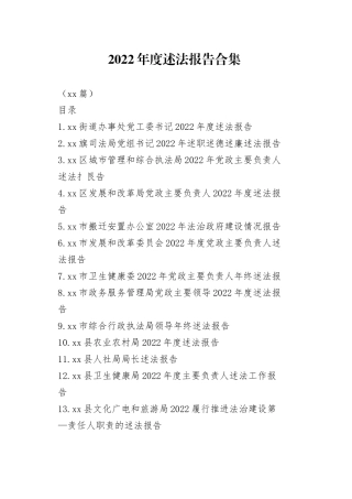 （20篇）2022年度述法报告合集