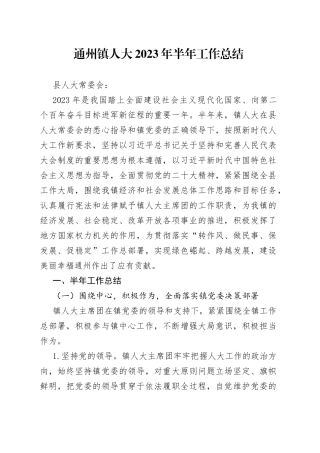 （2023.06.05）通州镇人大2023年上半年工作总结