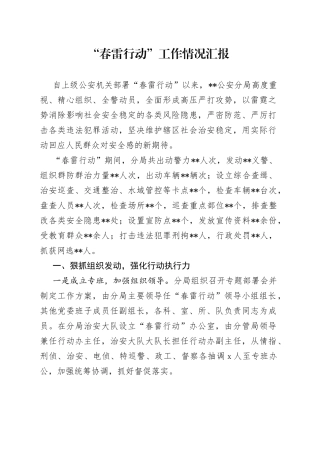 “春雷行动”工作情况汇报