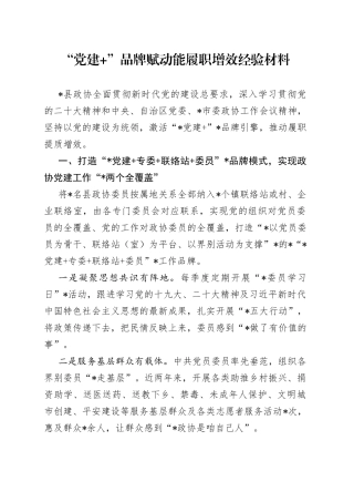 “党建+”品牌赋动能履职增效经验材料
