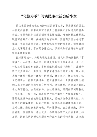 “化整为零”写实民主生活会后半章