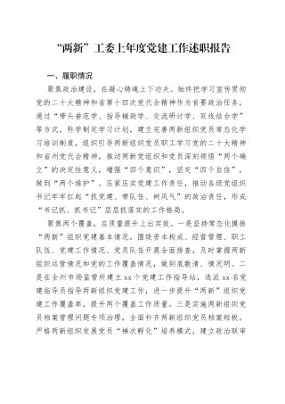 “两新”工委上年度党建工作述职报告
