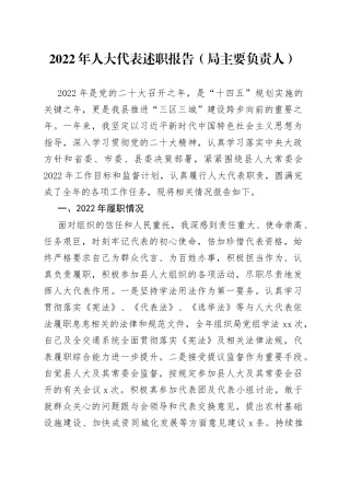 2022年人大代表述职报告（局主要负责人）
